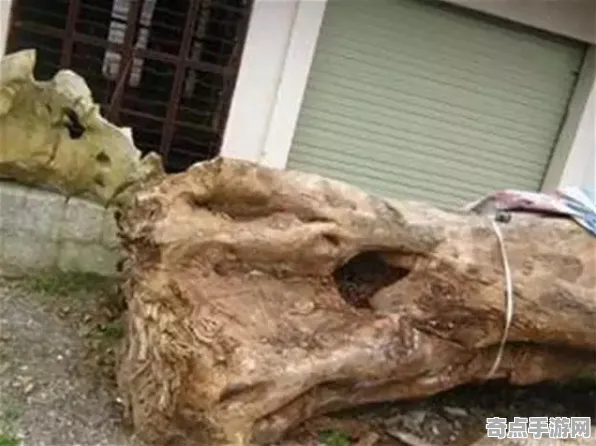 最新中国地质大学发布木乃伊新研究研究报告