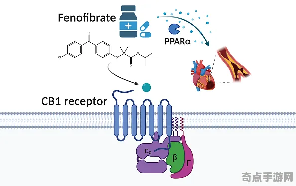 日前发现马丘比丘之谜科学原理,研究阐明 日前发现马丘比丘之谜科学原理,研究阐明