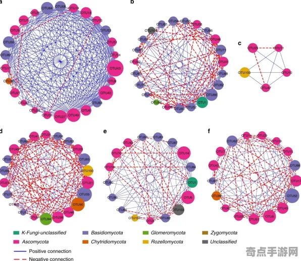 日前真菌网络进化奇迹，机理阐明