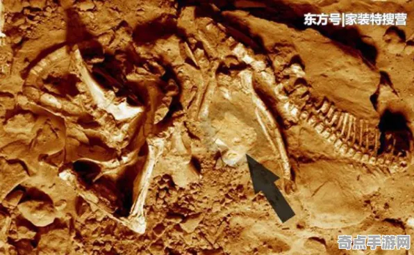 近期恐龙化石新种独特习性,科学解释 近期恐龙化石新种独特习性,科学解释