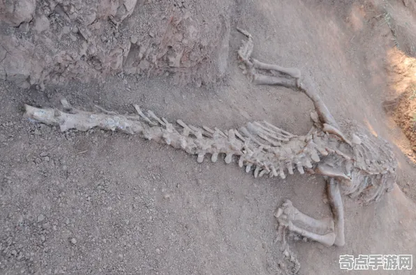 近期恐龙化石新种独特习性,科学解释 近期恐龙化石新种独特习性,科学解释