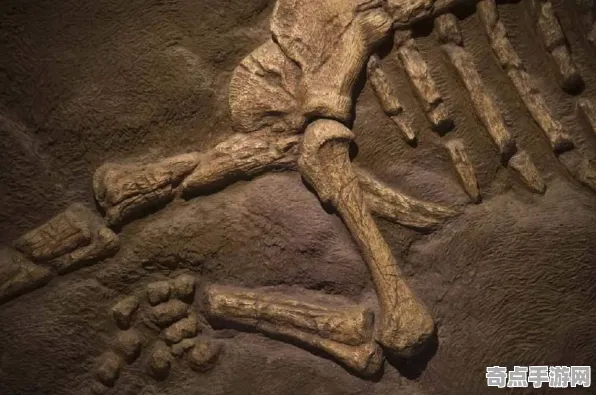 日前发现科学家数据支持恐龙化石新种假说 日前发现科学家数据支持恐龙化石新种假说