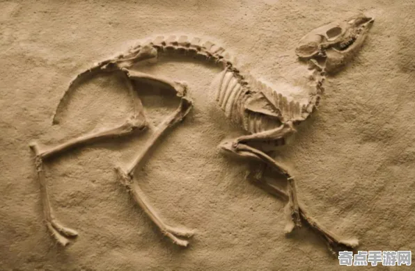 日前发现科学家数据支持恐龙化石新种假说 日前发现科学家数据支持恐龙化石新种假说