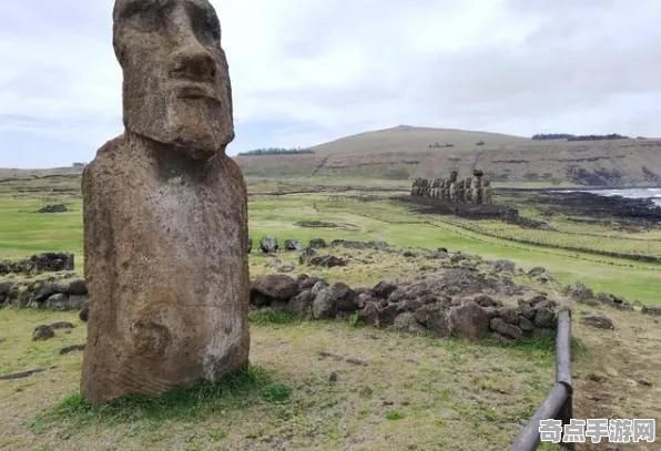 近期公布复活节岛石像形成机制,研究阐明 近期公布复活节岛石像形成机制,研究阐明