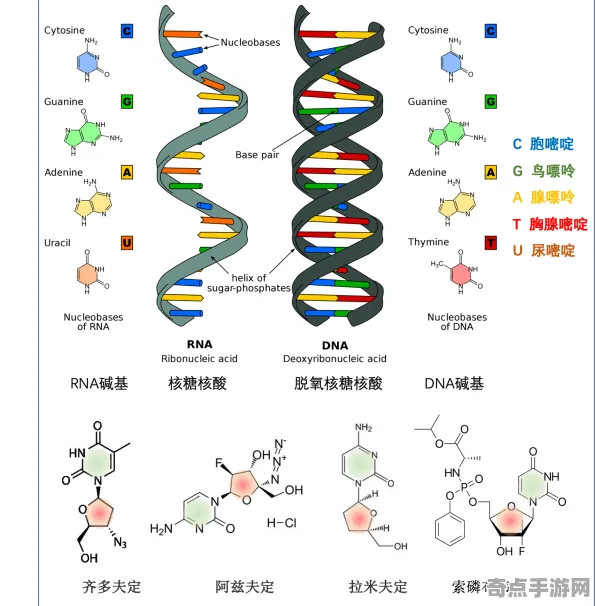 刚刚自然资源部DNA分析：红色精灵存在证据