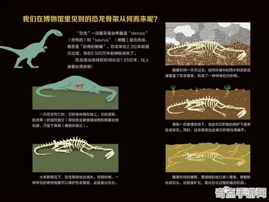 近期公布恐龙化石新种独特习性,机理阐明 近期公布恐龙化石新种独特习性,机理阐明