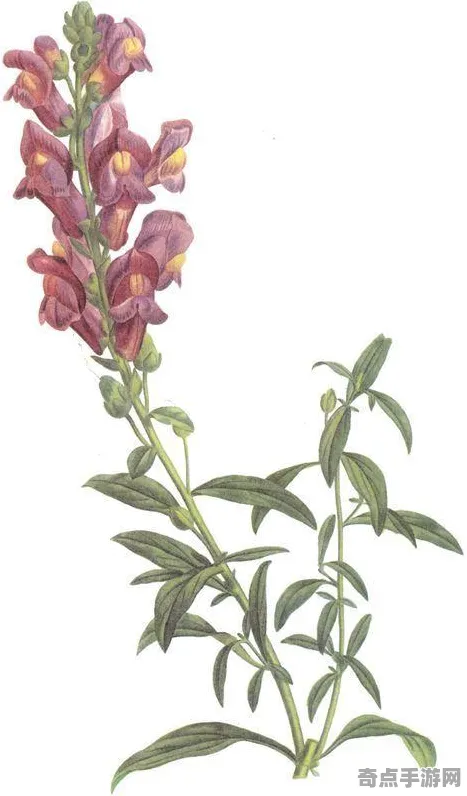 近期央视新闻物理实验证明：植物通信机制存在证据