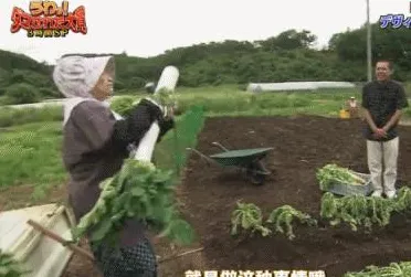 最新日本流星雨爆发创下新纪录，长度33米