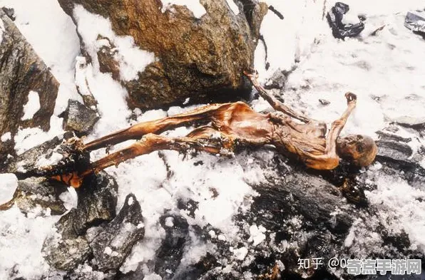 近期考古学家重要证据：死亡冰柱年代确认