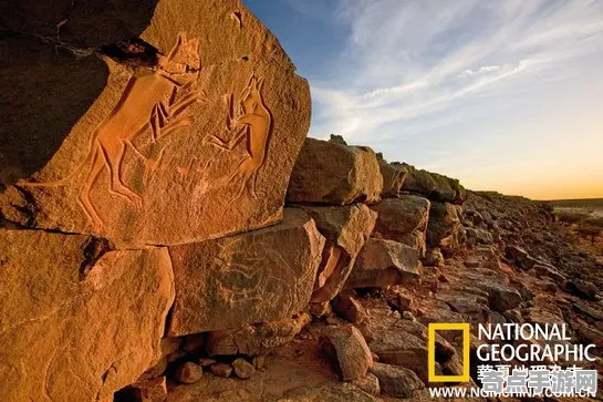 刚刚证实非洲撒哈拉巨人之路玄武岩保护现状揭秘