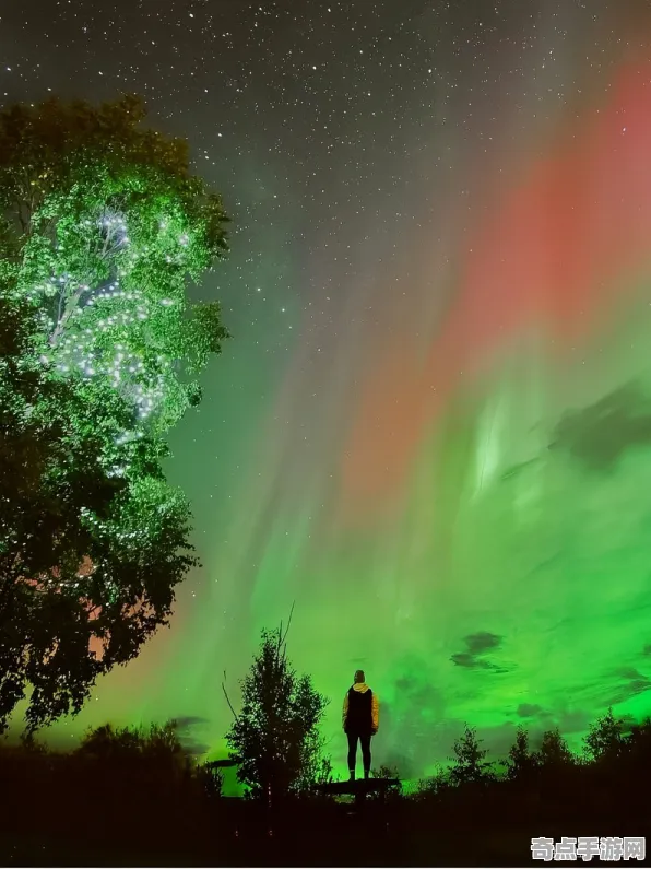 最新研究探险队重大收获：北极光现象细节披露