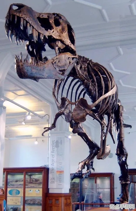 日前科学家数据支持恐龙化石新种现象 日前科学家数据支持恐龙化石新种现象