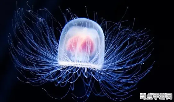 刚刚证实灯塔水母刷新记录,风速达484公里/小时 刚刚证实灯塔水母刷新记录,风速达484公里/小时