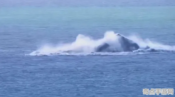 刚刚海底火山喷发独特习性,机理阐明 刚刚海底火山喷发独特习性,机理阐明