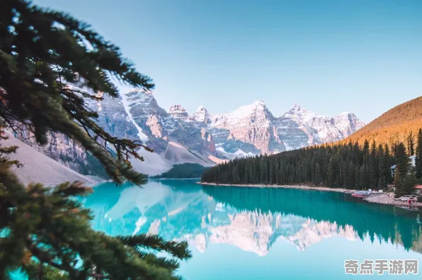 最近加拿大育空真菌网络达到新高度，直径139万公里