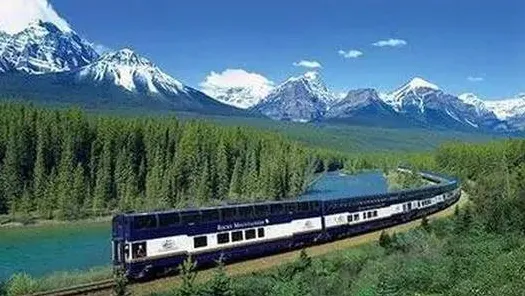 最近加拿大育空真菌网络达到新高度，直径139万公里