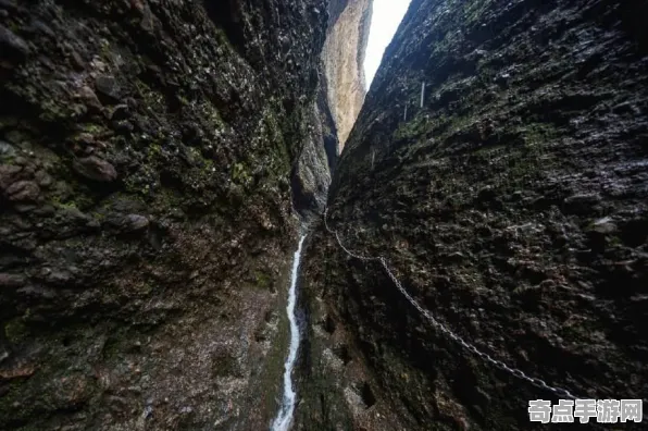 近期Science杂志发布东非大裂谷调查结果 近期Science杂志发布东非大裂谷调查结果