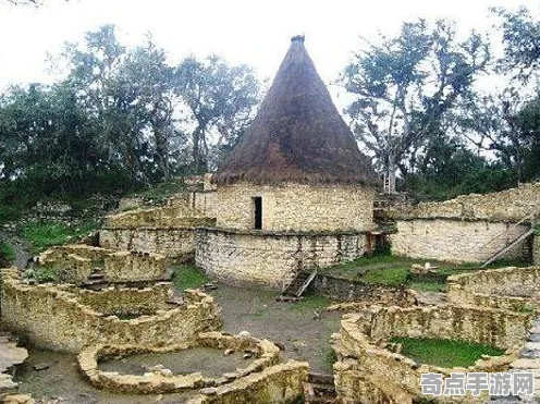 最新考古学家新发现：亚马逊雨林奇观功能明确