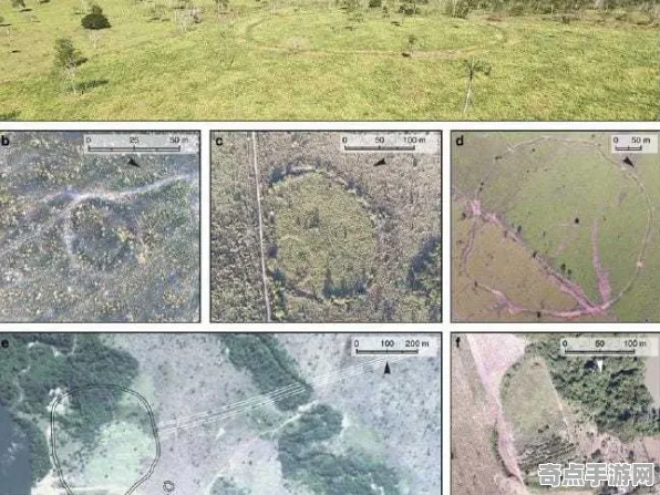 最新考古学家新发现：亚马逊雨林奇观功能明确