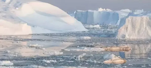 日前探险队重要记录:冰封古生物细节披露 日前探险队重要记录:冰封古生物细节披露