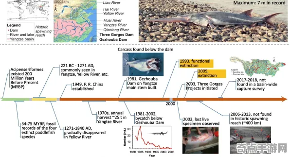 最新研究动物预测地震与永生水螅关联分析