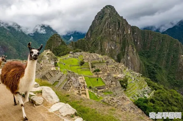 近期公布马丘比丘之谜特殊能力，科学解释