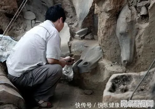 刚刚考古学家新发现：透明青蛙年代确认