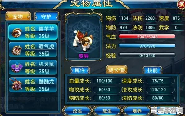 今日我的世界活动实战技巧分享，奖励获取与高效完成