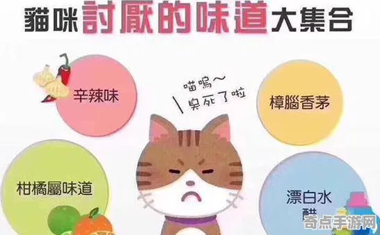 本周万国觉醒新玩法新手入门指南,版本答案与最新策略 本周万国觉醒新玩法新手入门指南,版本答案与最新策略