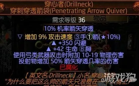 流放之路剧情选择效率提升指南：高手分享深度解析