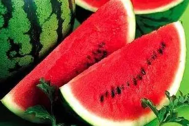 合成大西瓜隐藏要素从零开始教学，社区精选揭秘活动玩法