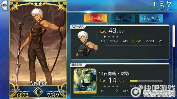 Fate/Grand Order隐藏要素终极完全指南，官方推荐揭秘副本攻略