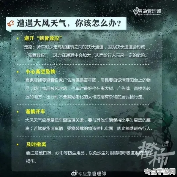 《潜行者2》资源管理指南 2025年8月更新 Android专业版 系统解析 《潜行者2》资源管理指南 2025年8月更新 Android专业版 系统解析