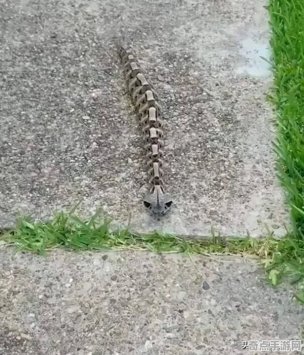 《空洞骑士：丝之歌》经济系统解析 9月技术分析 Android专业版