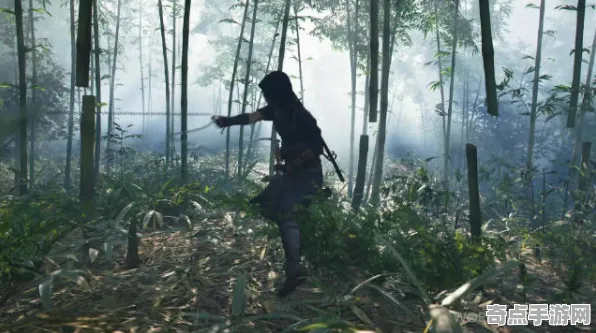 《刺客信条：影》剧情深度解读 9月技术分析 Xbox Series X