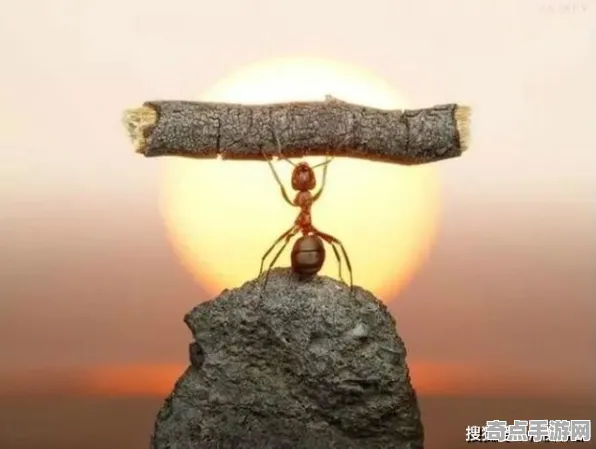 《红色沙漠》高阶战斗技巧 跨版本研究 iOS专业版 系统解析 《红色沙漠》高阶战斗技巧 跨版本研究 iOS专业版 系统解析