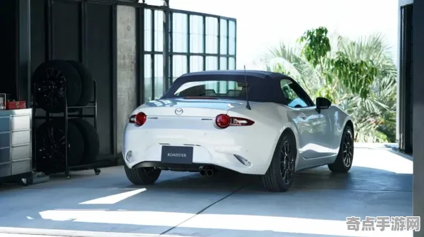 《以闪亮之名》成就系统解析 跨版本研究 Vision Pro版