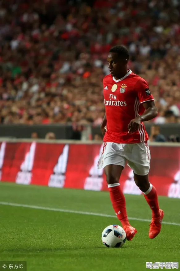 职业选手：FIFA 25》操作设置指南 秋季赛前瞻 iOS专业版（职业战队训练方案）