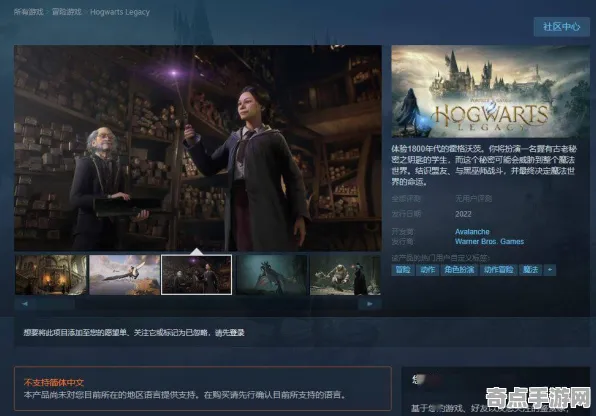 《霍格沃茨遗产》成就系统解析 2025夏季版本 Steam Deck 系统解析