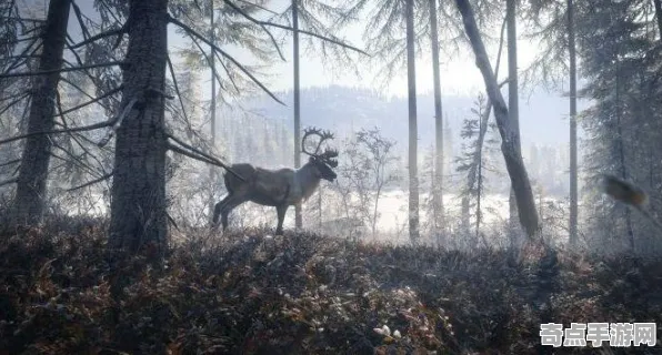 专业解析：怪物猎人：荒野》隐藏内容解锁 9月技术分析 跨平台策略