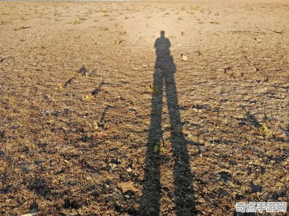 《魔兽世界：地心之战》经济系统解析 2025夏季版本 iOS专业版 角色分析