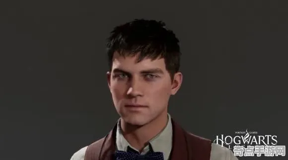 职业选手：霍格沃茨遗产》阵容搭配原理 秋季赛前瞻 iOS专业版 技术指南（职业战队训练方案）