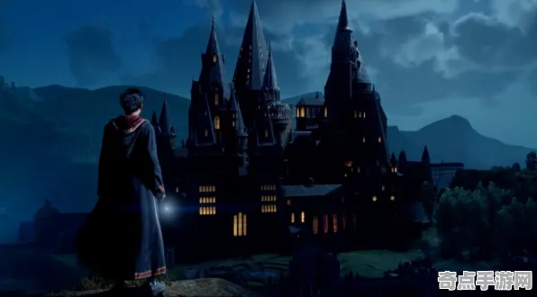 职业选手：霍格沃茨遗产》阵容搭配原理 秋季赛前瞻 iOS专业版 技术指南（职业战队训练方案）