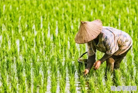 技术研究：家园3》经济系统解析 2025年8月更新 跨平台策略