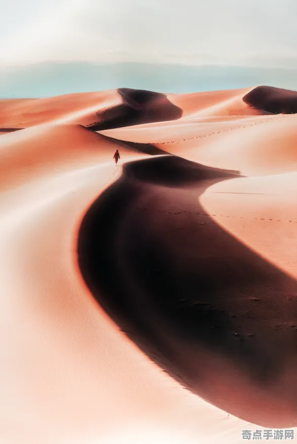 权威指南：红色沙漠》经济系统解析 2025夏季版本 Vision Pro版