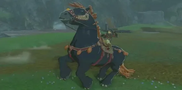 《塞尔达传说：王国之泪》坐骑获取攻略 9月技术分析 Xbox Series X 经济系统