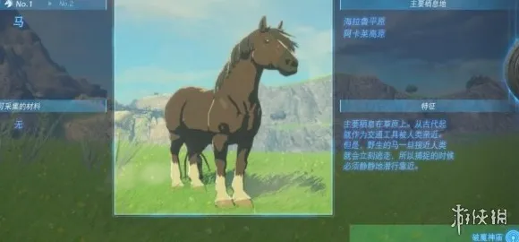 《塞尔达传说：王国之泪》坐骑获取攻略 9月技术分析 Xbox Series X 经济系统