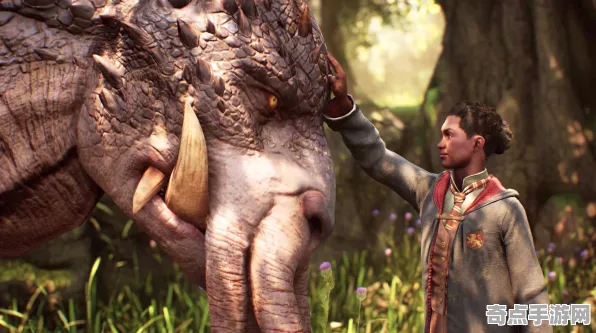 《霍格沃茨遗产》操作设置指南 S4赛季最新 Android专业版 系统解析