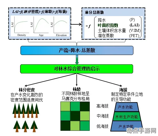 《艾尔登法环》资源管理指南 9月技术分析 Xbox Series X