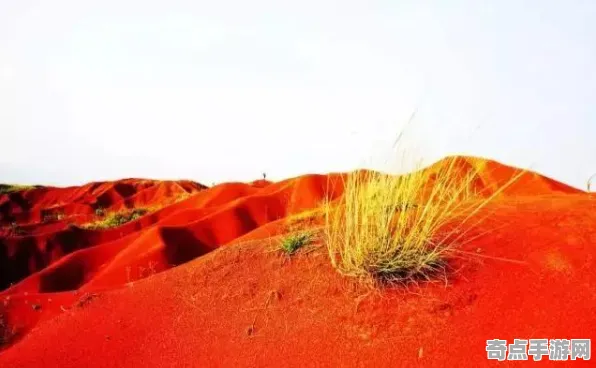 《红色沙漠》生态系统分析 9月技术分析 跨平台策略